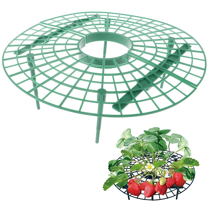 5/10/20PCS Strawberry Stand Balcony Planting Plant Flower Climbing Vine Pillar