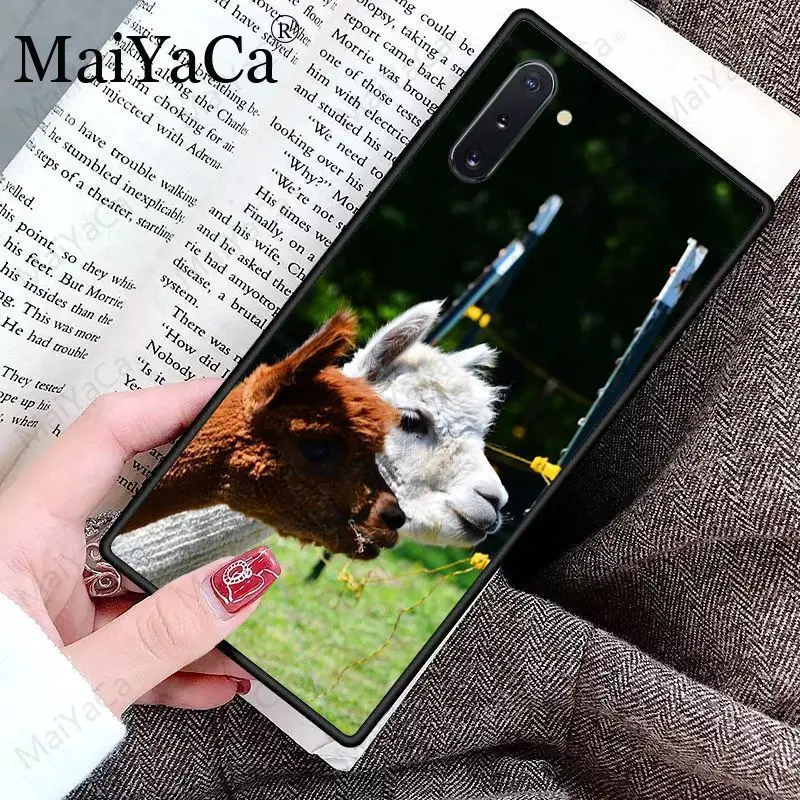 Cute Goat Meme Alpaca