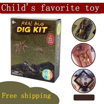

Boy toys explore insect specimens archeology dinosaur fossils discover real gems DIY handmade ocean big shark party gifts
