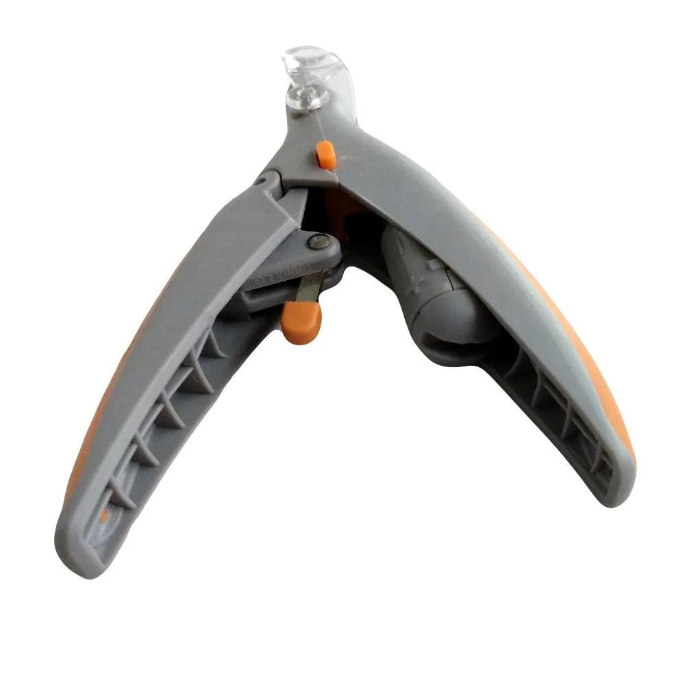 9449149882_1572229309