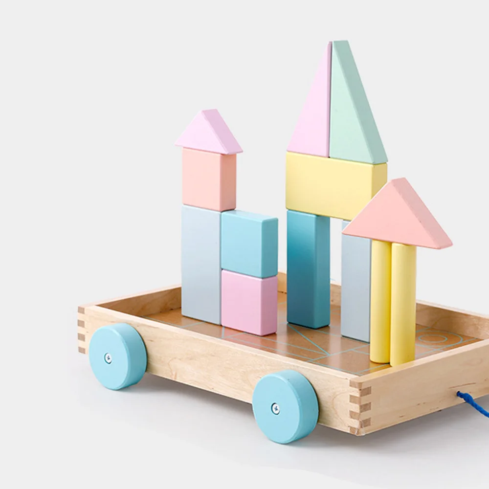 24 шт./компл. детские деревянные 3D игрушки рано утром образование Кубики-пачка цветов радуги для Монтессори Сенсорная