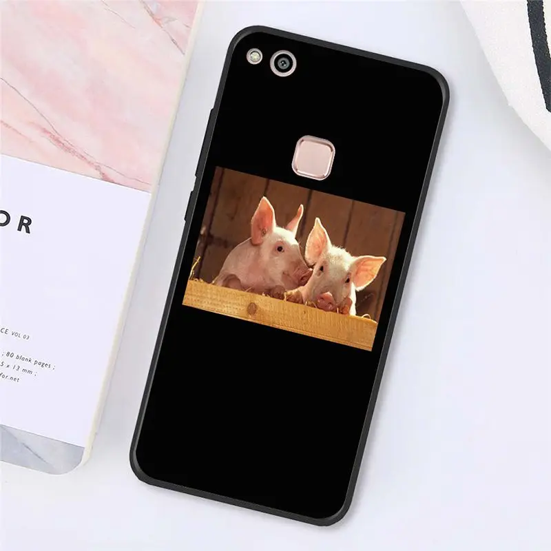 Cute Little Pink Pet Pig