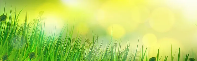 春意昂扬的小草背景背景图片素材免费下载 图片编号qakroxmp Pngbag素材网