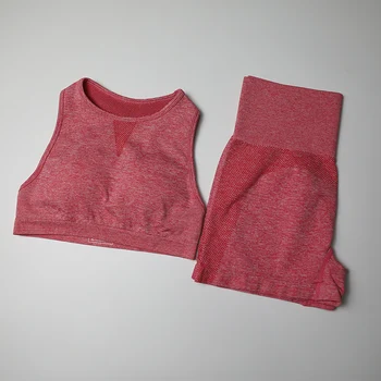 

Seamless Yoga Set Women Fitness Clothing Sportswear Female High Waist Sports Short Reacerback Sport Bra Top 2 Piece Sports Suits