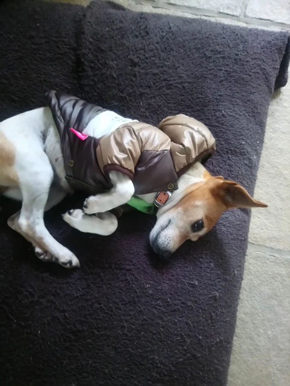 UTB8H6AniHPJXKJkSafSq6yqUXXav