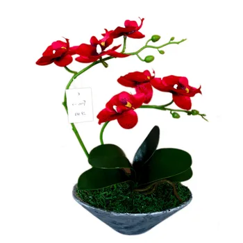 

Butterfly Orchid Imitation Flowers Artificial Flower Decorative Flower Potted Plant Simulation Artificial Eternal Life Silk Flow