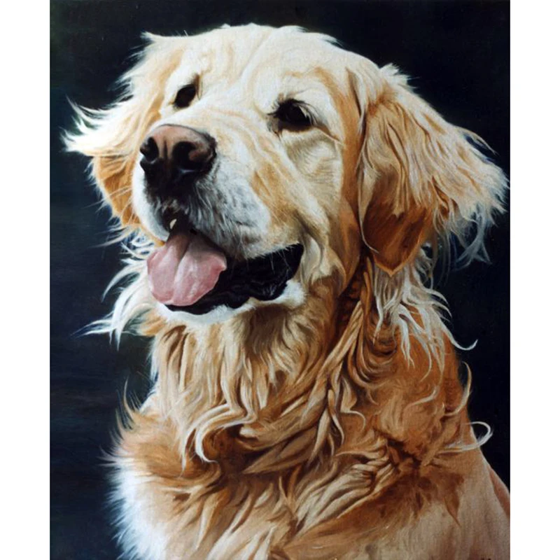 Перро 5D диаманта мозаика pintura de diamante hecha a mano punto de cruz completo diamante bordado animales patrones diamantes d - Цвет: 4