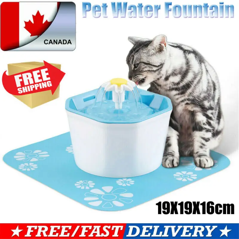 automatic cat fountain