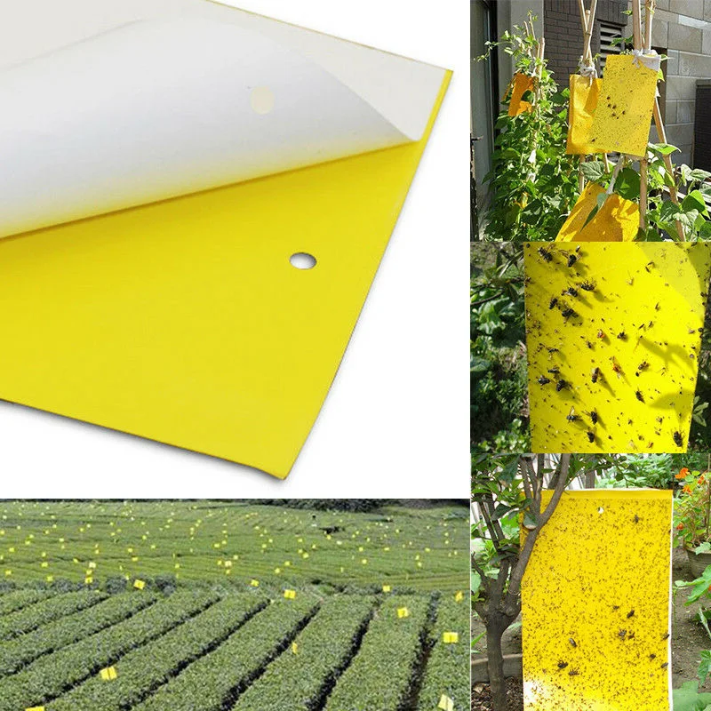 

5/10/20/50/100pcs Flies Sticky Paper Trap Catchers Glue Board Home Pest Control Fly Insects Sticky Papers