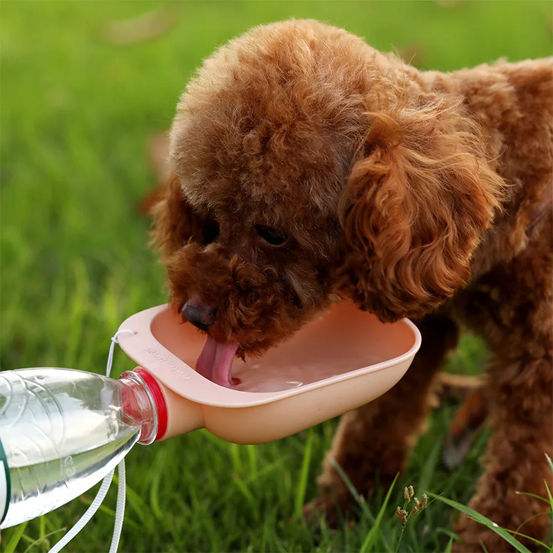 Botella de agua portátil para perros, plato para beber con perro para exterior, dispensador de agua Mineral a prueba de fugas, alimentador para perros