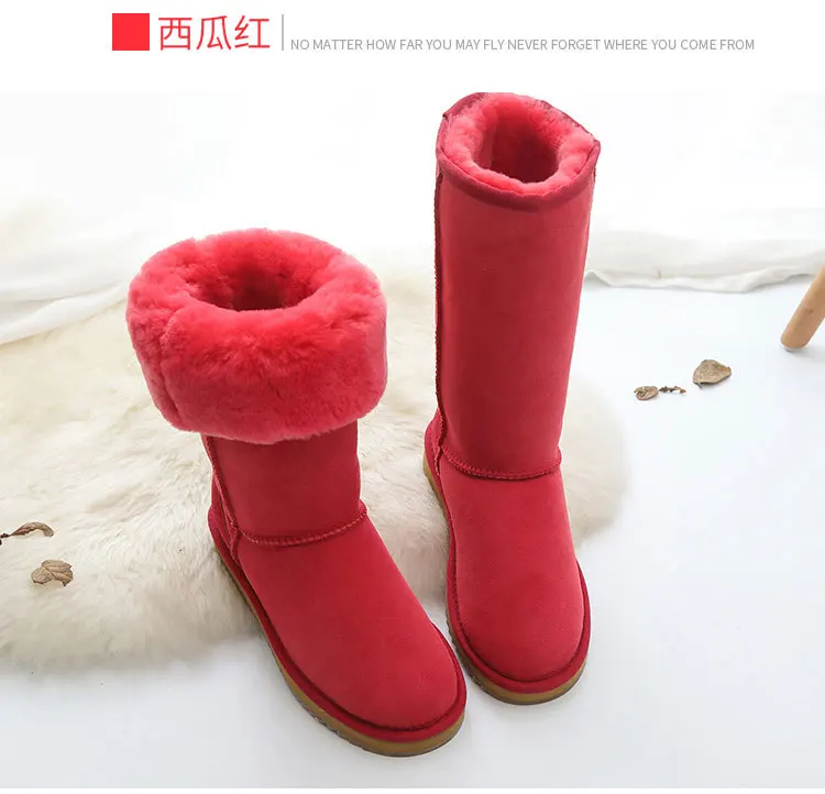 16983653310_1214573647