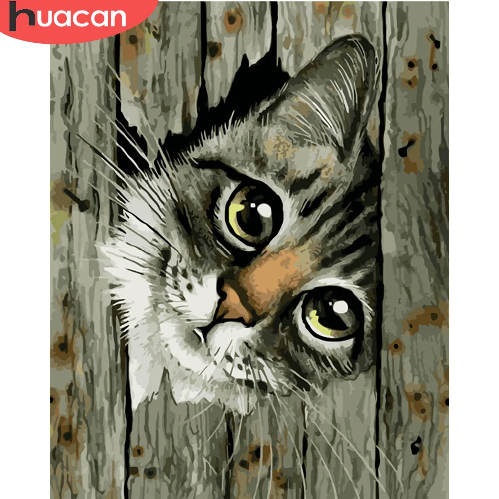 HUACAN DIY картины по номерам наборы кошка рисование на холсте Живопись животные
