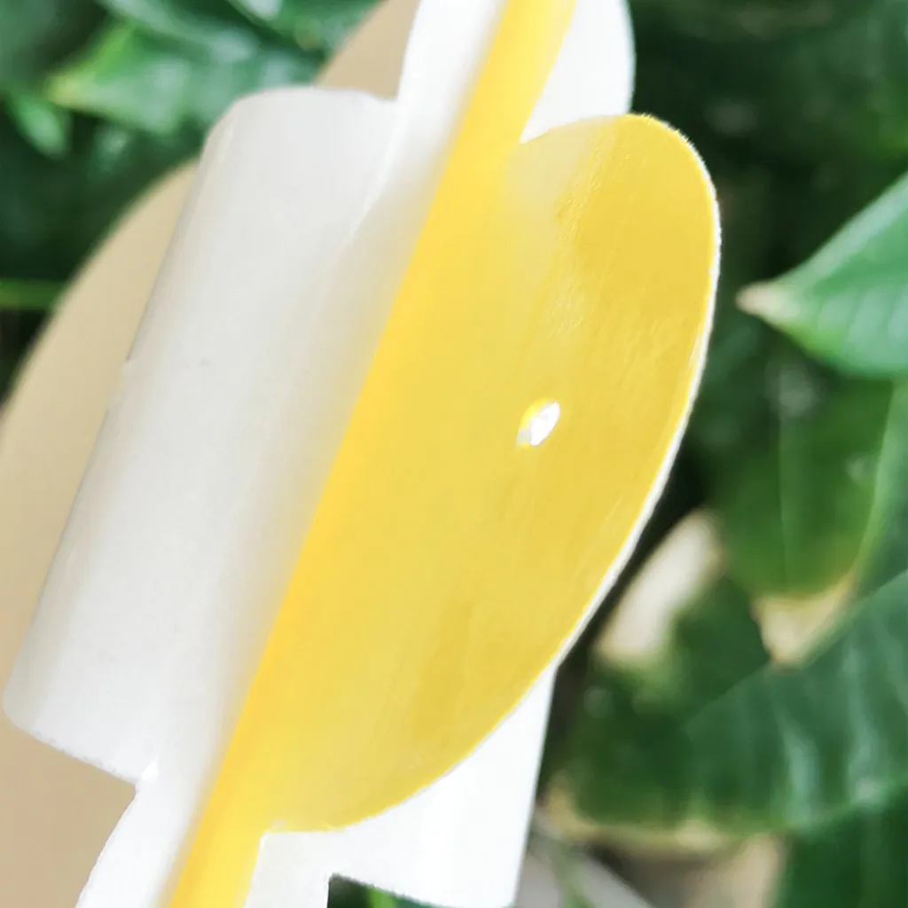 SALALIS Piège Antiparasitaire 6 Pièces Piège à Mites Adhésif Non