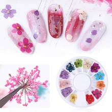 Смешанный натуральный сушеный цветок для ногтей DIY 3D прессованный цветок лист слайдер наклейка лак для маникюра украшения для ногтей новое поступление