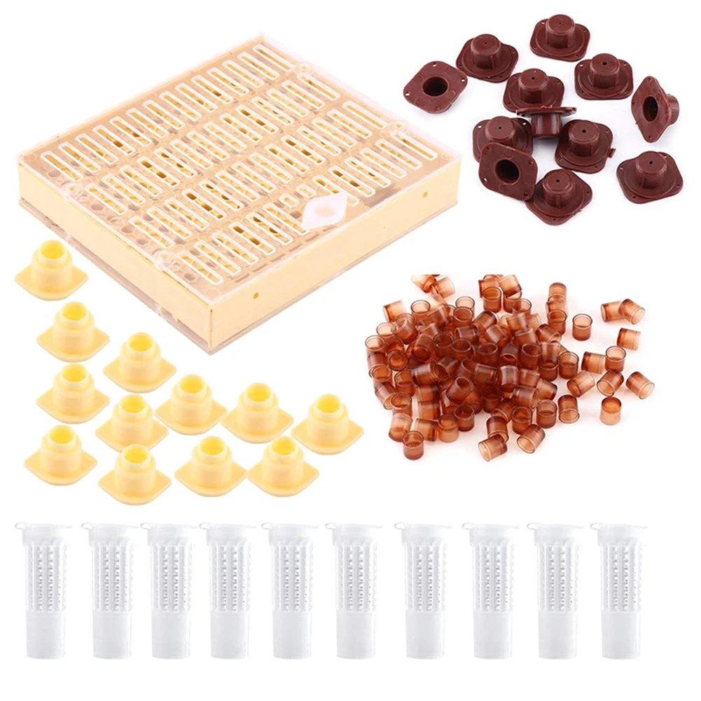 

Beekeeping Tools Equipment Set Queen Rearing System Cultivating Box 110pcs Plastic Bee Cell Cups Cup Kit Queen Cage for Garden