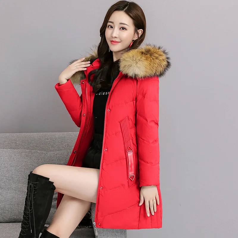 

Cotton-padded Clothes Women's 2019 New Style Winter Cotton-padded Jacket down Jacket Cotton-padded Clothes Mid-length Thick Loos