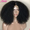 Lace Wigs