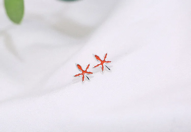 9630571825_1966409281