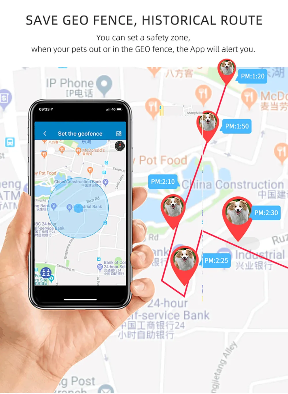 v47-宠物详情页英文版_12