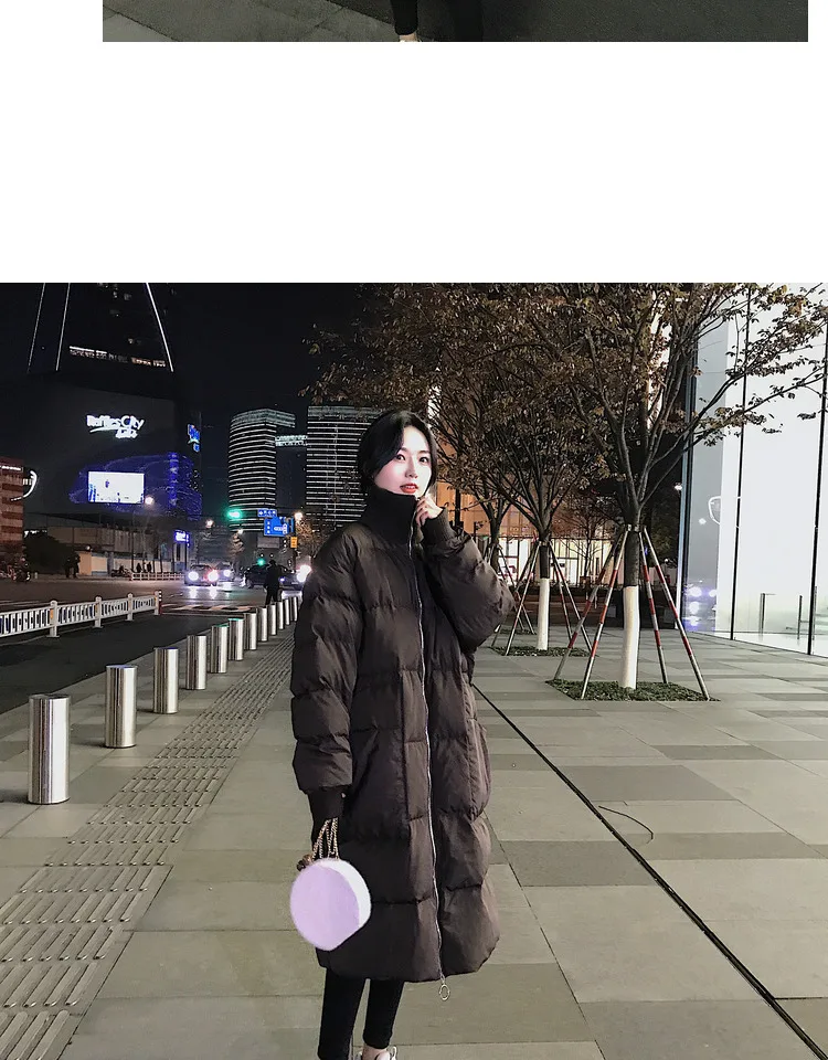 Photo Shoot Main Push Winter New Style Korean-style Loose-Fit Stand Collar Long Zipper Dark Coffee Cotton Overcoat Women's