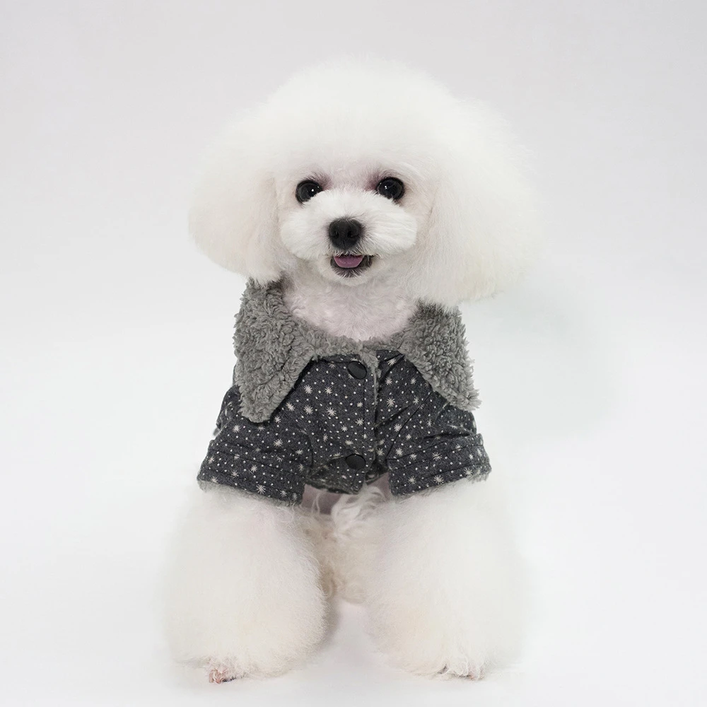 miniature dog coats