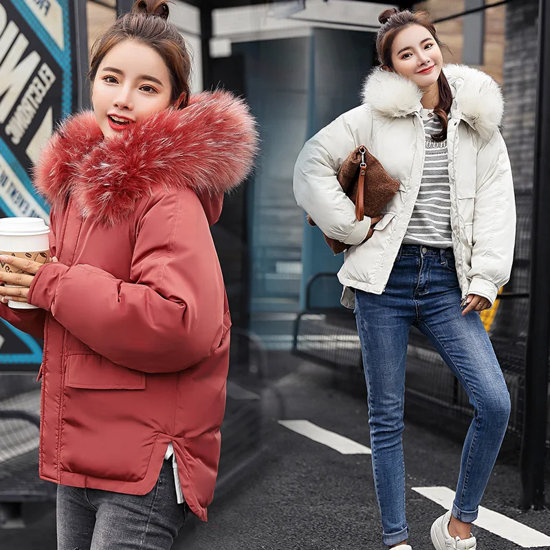 

Off Season down Jacket Cotton-padded Clothes Women's Short 2019 New Style Winter Coat Large Fur Collar Cotton-padded Clothes Kor