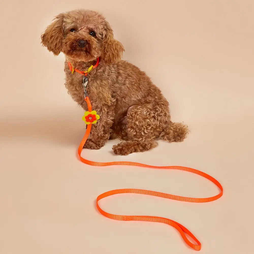 

Nylon Dog Leash Cat Leash with Collar - Strong,Durable,Fashional Style Leash,Adjustable Collar for Walking