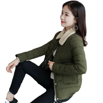 

Winter Jacket Faux Fur Parkas Women Down Jacket Plus Size Short Style Fall and Winter New Korean Hair Small Jacket Fashion