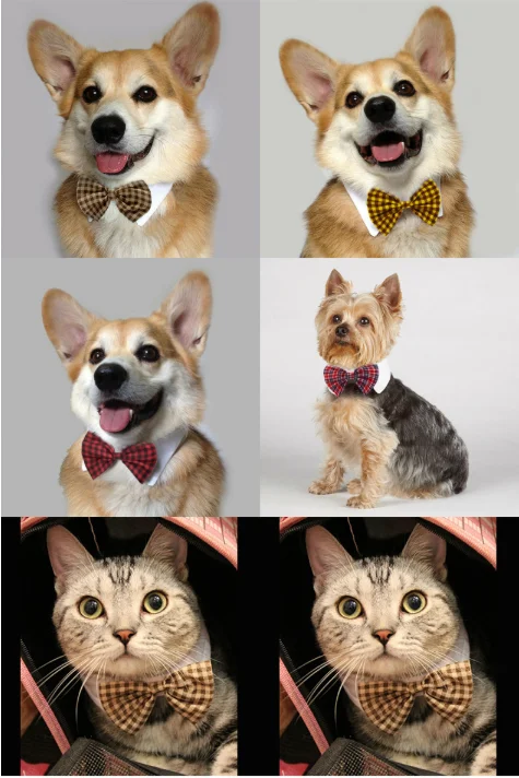 Аксессуары для домашних животных кошка и галстук-бабочка для собаки универсальный модный прочный галстук-бабочка ювелирные изделия