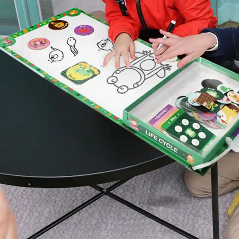 magnetic lifecycle animal human growth cognition puzzle kids