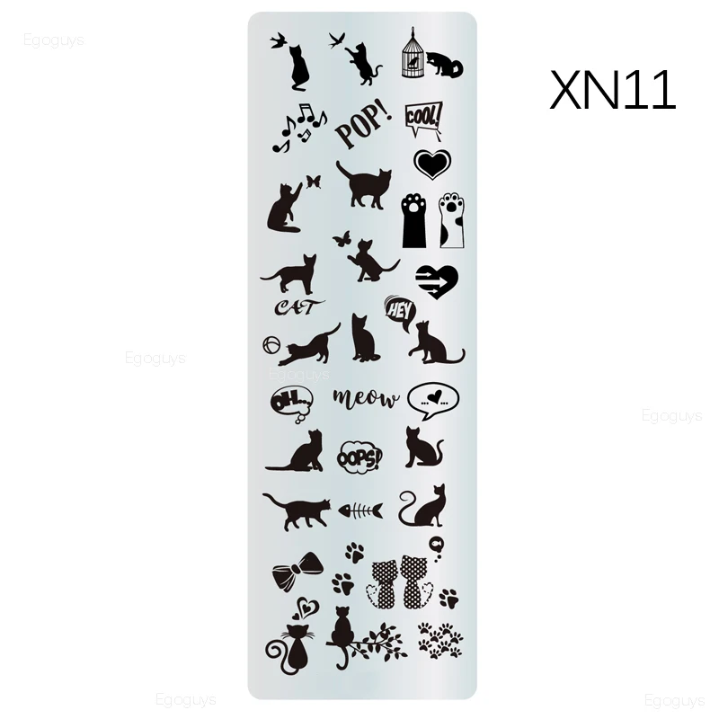 XN11