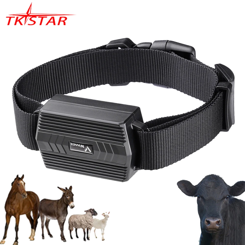 Animal Camel Gps Tracker For Cow Tk935 Tkstar Camel Gps Locator Waterproof Gps Tracker Car