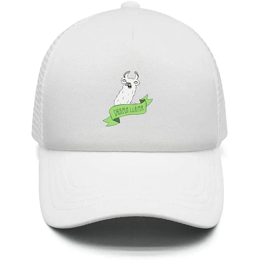 Пристани окрашивание подарок яйца лама подростковые ходьбе кепки Регулируемый Открытый шляпа для мальчиков или девочек