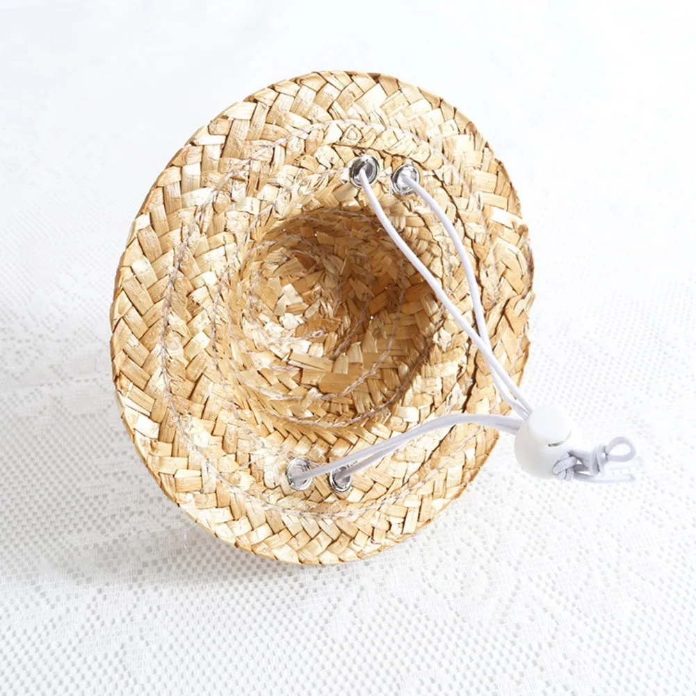 Cute Straw Hat Design - Pet Clever