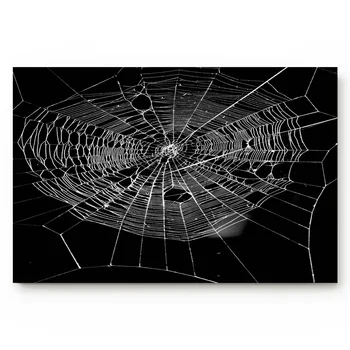 

Spider Web Lines White Black Silk Living Room Doormat Home Environmental Protection Bathroom Door Non-slip Floor Mat