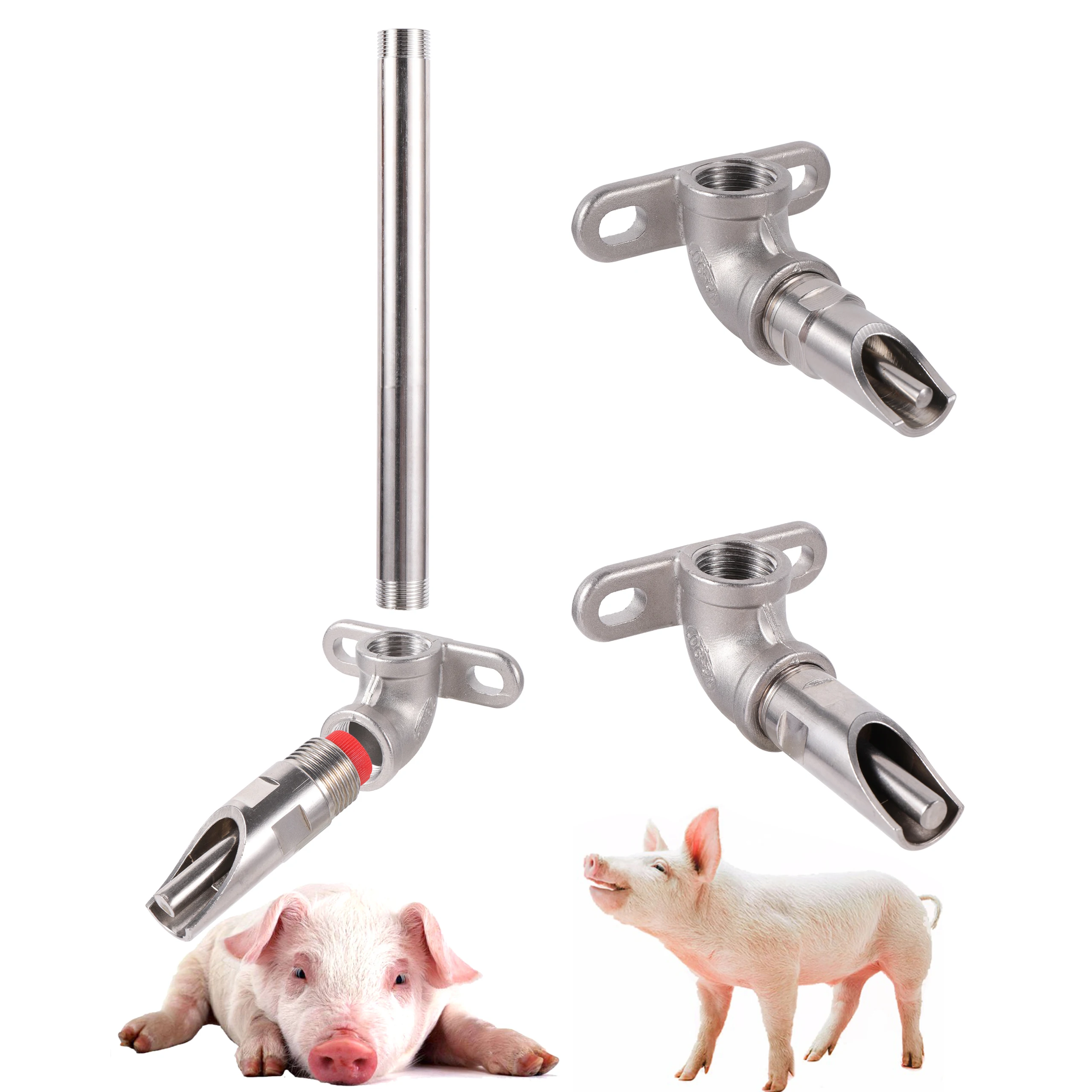 Abbeveratoio Maiale Acciaio Inox - 2 Pezzi Con Tappo In Rame Per Animali - Foto 8