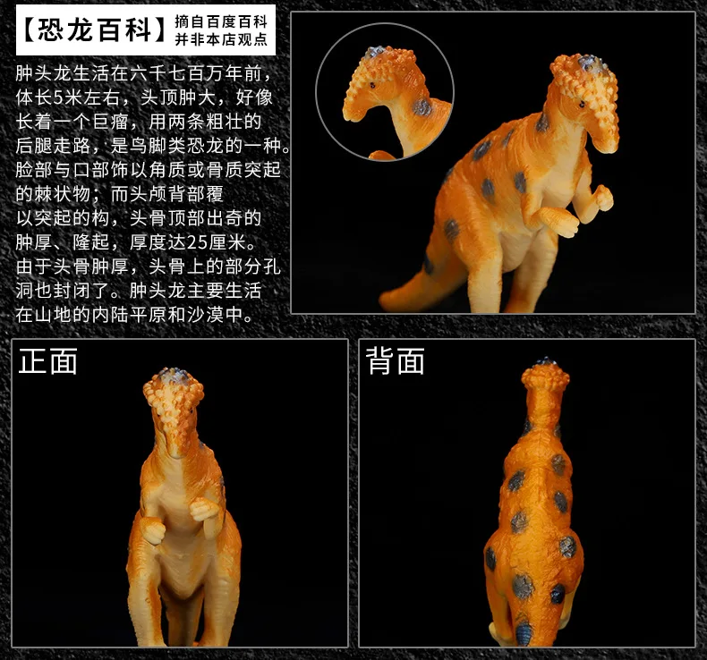 От производителя модель динозавра модель украшения полые маленькие T-Rex спинозавр du jiao длинные модели динозавра