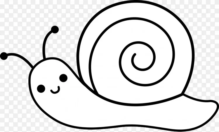 蜗牛画软体动物剪贴画 卡通蜗牛png图片素材免费下载 图片编号1856 Png素材网