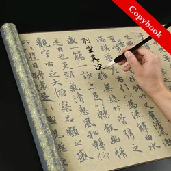 Ensemble de tissus d'écriture réutilisables à l'eau, pour adultes, brosse chinoise, calligraphie, cahier d'entrée 
