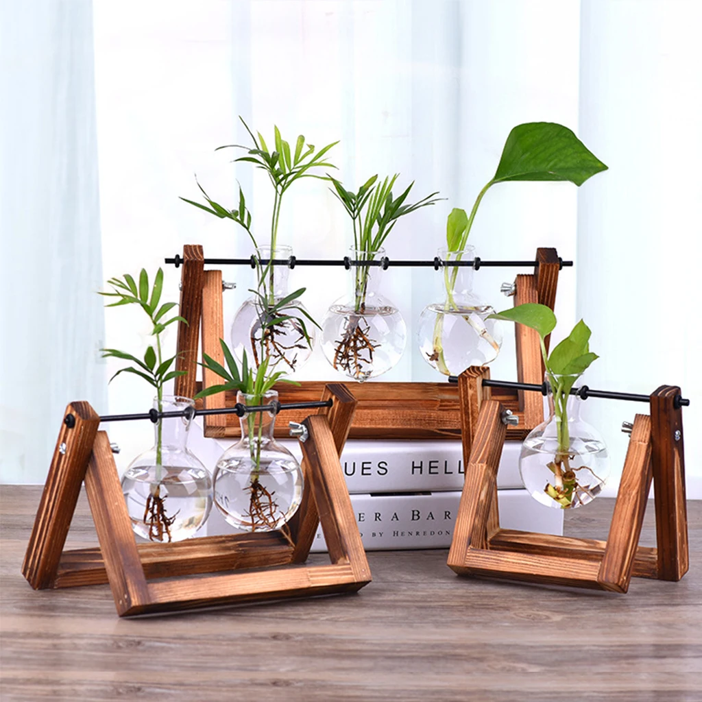 Гидропонная фотография Terrarium домашний винтажный цветочный горшок прозрачная