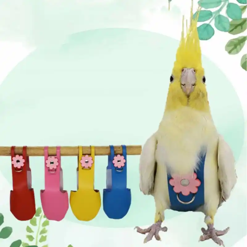 Oiseau Perroquet Velours Cuir Couche Avec Laisse Harnais Corde Calopsitte Pigeons Vol Costume Vetements Excrements Poche Fournitures Pour Animaux De Compagnie Aliexpress Oiseau Perroquet Velours Cuir Couche Avec Laisse Harnais Corde Calopsitte Pigeons Vol Costume Vetements Excrements Poche Fournitures Pour Animaux De Compagnie Aliexpress