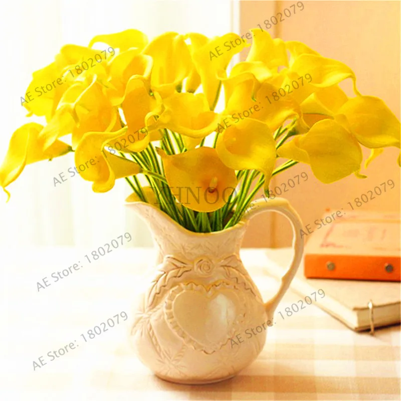 103 шт смешанные цвета Calla, calla lily plantas, редкий прекрасный бонсай цветок Флорес, горшок для домашнего сада и двора