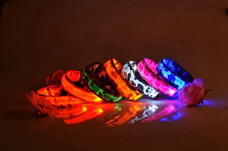 dog collar (4)
