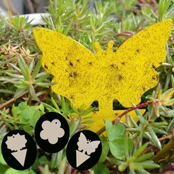 

Fungus Gnats Insect Dual Sided Catcher Plant For Aphids Strong Glue Non Toxic Sticky Traps Yellow Pest Control Garden Fruit Fly