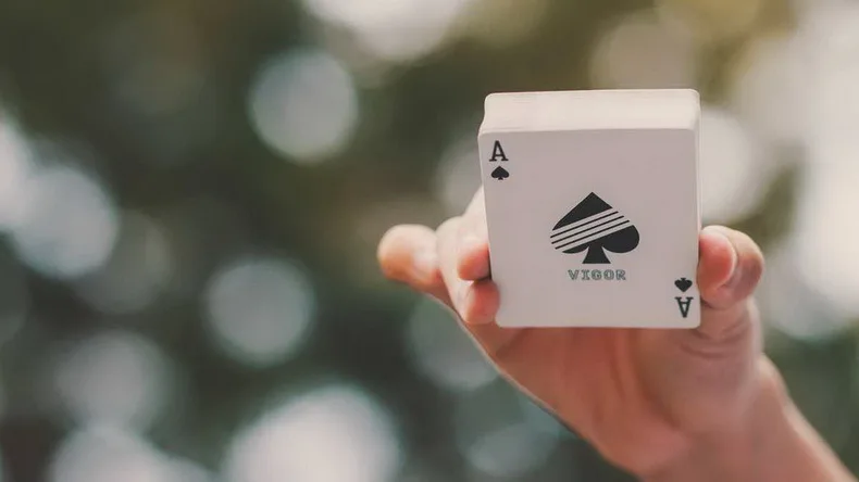 Hui qi Poker Ludwig Card Vigor от bombmagic импортная Коллекция Цветочная огранка игральные карты