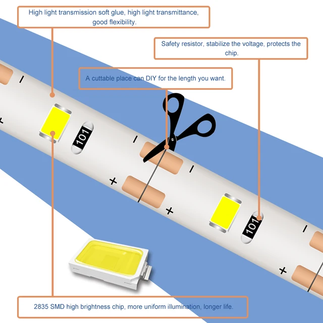 헐리우드의 매력을 가정에