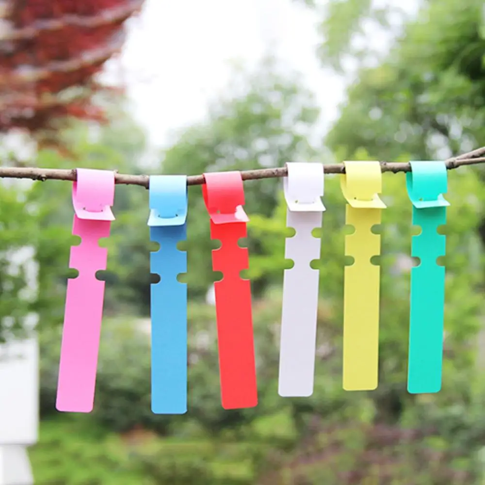 

100 Plant Labels Garden Nursery Labels Hanging Tree Markers Seedling Plants Fruit Tree Signs Prompt Classification Tool