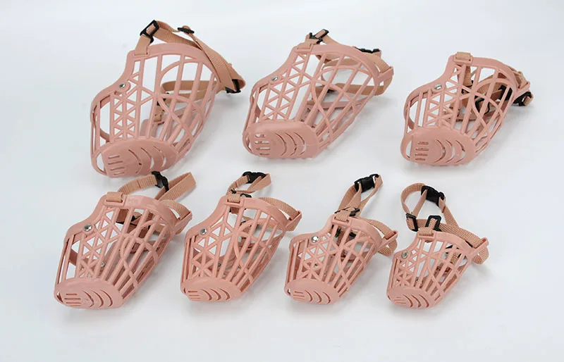 3609330441_973676538