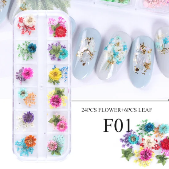 F01 3D украшения для дизайна ногтей сушеные цветы маргаритки Лист наклейки для ногтей Аксессуары для маникюра художественный лак фольга Советы Инструменты LAF01-10-1 - Цвет: F01