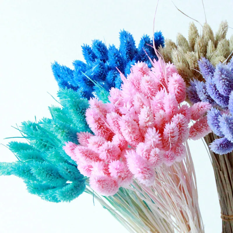 fake dried flowers 50pcs Dried Gem Grass Phalaris Flower Bouquets Weeding Home Decoration Eternal Flower Photography Props flower artificial flora artificial & dried flora